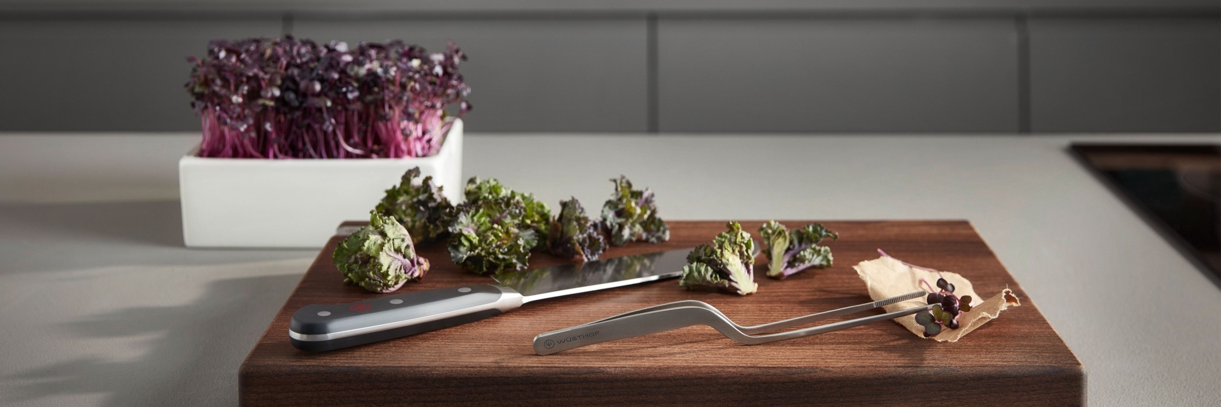 Tojiro SIPPU Black Damast